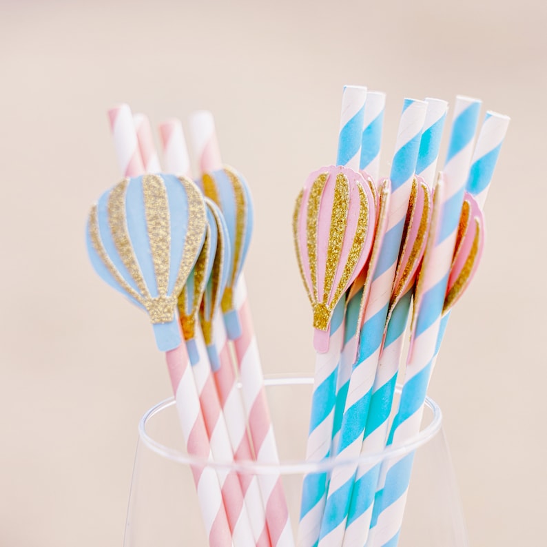 Hot Air Balloon Decorations Hot Air Balloon Party Up Up and Away Fly Away with me Party Straws Paper Straws First Birthday Party image 5