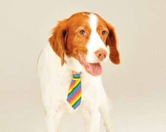Dog tie. Tie with psychedelic print. Wedding tie. Tie solidarity.
