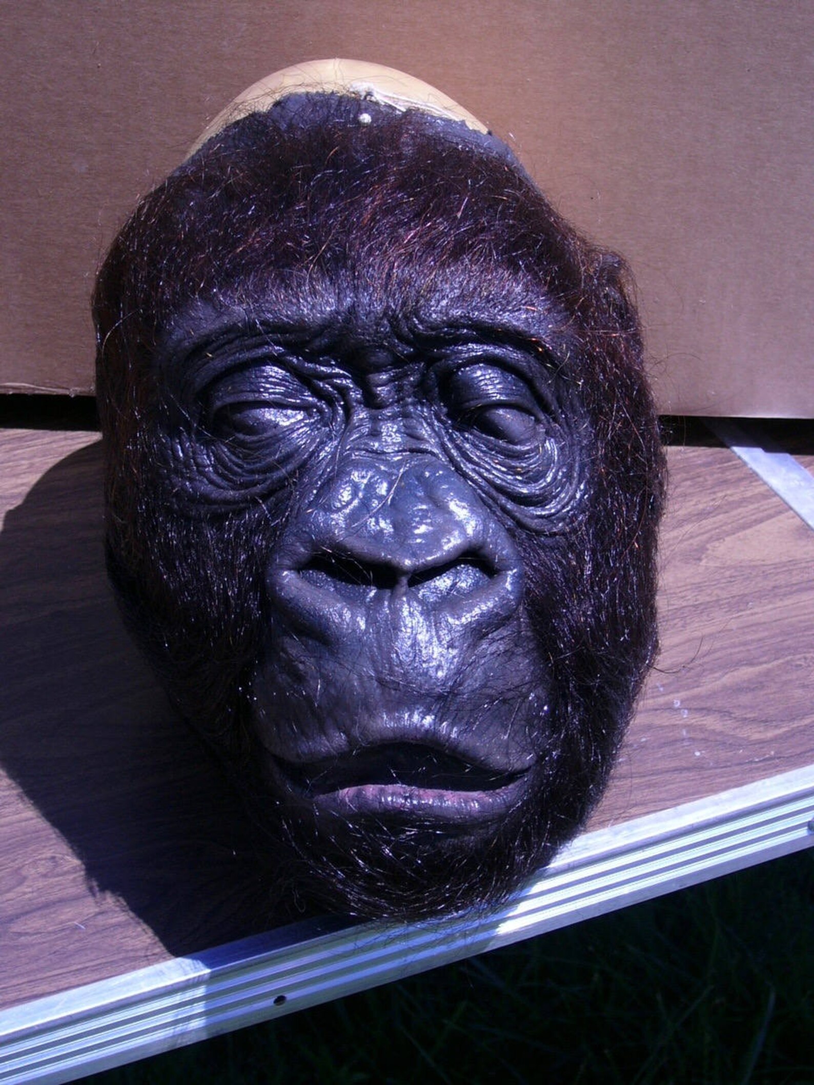 Original Stan Winston Studios amy Congo Gorilla Silicone Movie Prop