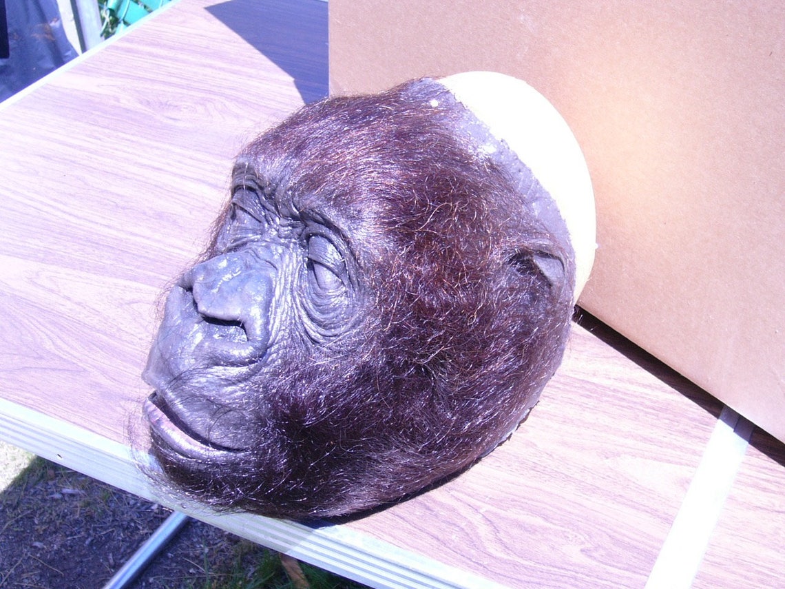 Original Stan Winston Studios amy Congo Gorilla Etsy