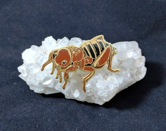 Stenopelmatus / Potato Bug Enamel Pin