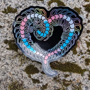 Puede incluir: Una pegatina en blanco y negro de un ciempiés enroscado en forma de corazón. El ciempiés es iridiscente y tiene un esquema de colores arcoíris.
