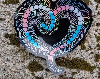 Trans Pride Flag Holographic Centipede Heart Sticker
