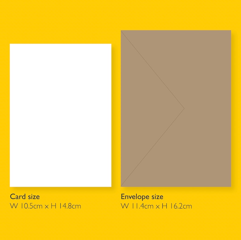 May include: A white card and a brown envelope. The card measures 10.5 inches wide by 14.8 inches high. The envelope measures 11.4 inches wide by 16.2 inches high.
