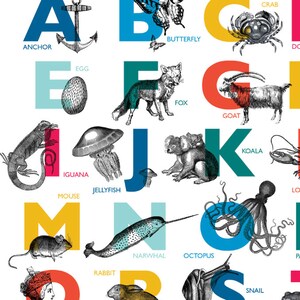 Vintage Alphabet Printable Art A4 PRINT Childrens ABC Animal Nursery Bold Bright Gill Sans Typography Wall Art Print image 3