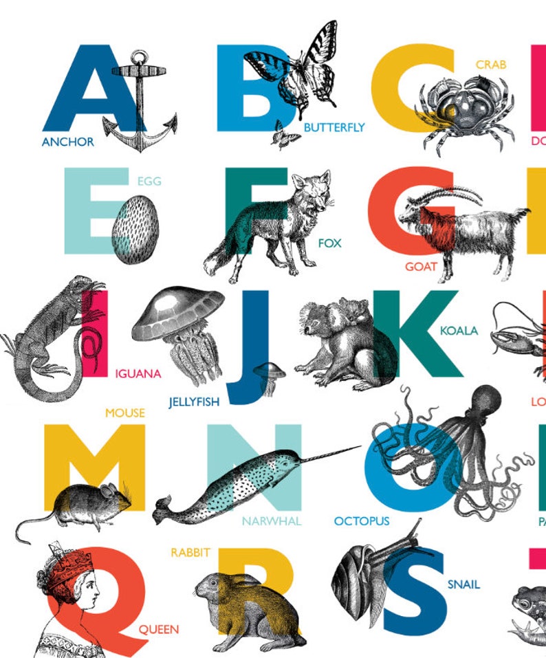 Vintage Alphabet Printable Art A4 PRINT Childrens ABC Animal Nursery Bold Bright Gill Sans Typography Wall Art Print image 3