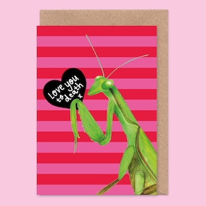 Lustige Gottesanbeterin Valentinstag / Jubiläumskarte - Ich liebe dich bis zum Tod, Ehemann, Freund, Verlobten, Insekt, Dschungel, Mantid, Hochzeit
