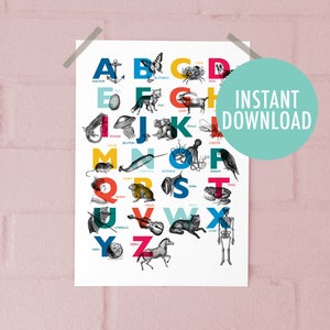 Vintage Alphabet Printable Art A4 PRINT Childrens ABC Animal Nursery Bold Bright Gill Sans Typography Wall Art Print image 2