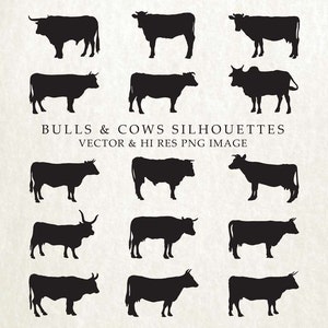 Cow Silhouette SVG - Cow SVG Bull SVG Vector Clipart Cut File svg dxf eps png - Silhouette Cameo Cricut Transfer