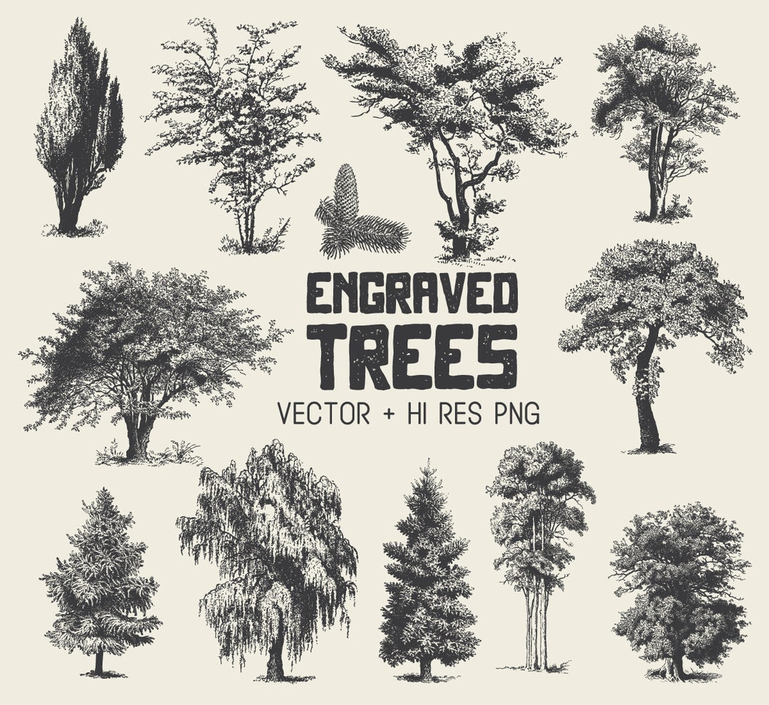 Tree Clipart Vector Pack Vintage Hand Drawn Tree Engraving Clipart Clip
