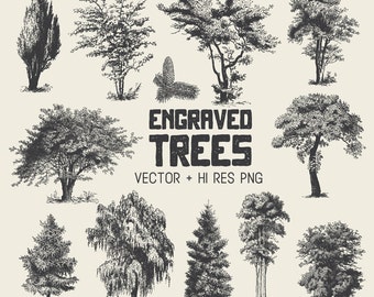 Tree Clipart Vector Pack - Vintage Hand Drawn Tree Engraving Clipart Clip Art PNG & Vector EPS, AI Design Elements Digital Instant Download