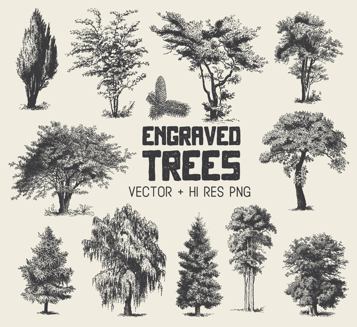 Tree Clipart Vector Pack Vintage Hand Drawn Tree Engraving Etsy