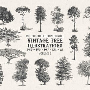 Tree Illustration SVG - Botanical PNG Clipart | Prints, Sublimation, Laser Engraving & Junk Journal - vol. 5