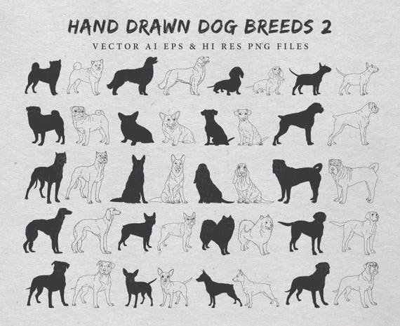 Download Hand Drawn Dog Breeds Dog Breeds Clipart Dog Drawing Dog Etsy