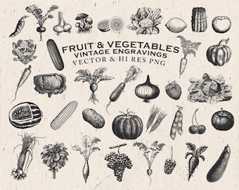 May include: A collection of black and white vintage illustrations of fruits and vegetables. The illustrations include a watermelon, corn, onion, eggplant, grapes, carrots, cabbage, and more.