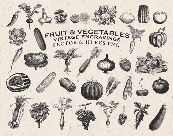 その他 VINTAGE CALIFORNIA FREE FORM VEGETABLE その他 VINTAGE CALIFORNIA FREE FORM VEGETABLE その他 VINTAGE