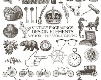 Hand Drawn Illustration Clipart Pack - Vintage Rustic Hand Drawn Clipart Clip Art PNG Vector EPS AI Design Elements Digital Instant Download