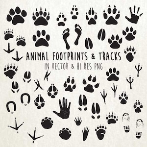 Animal Tracks SVG, Animal SVG, Animal Print Clipart, Animal Footprint SVG Animal Tracks Cut Files svg dxf eps png - Silhouette Cameo Cricut