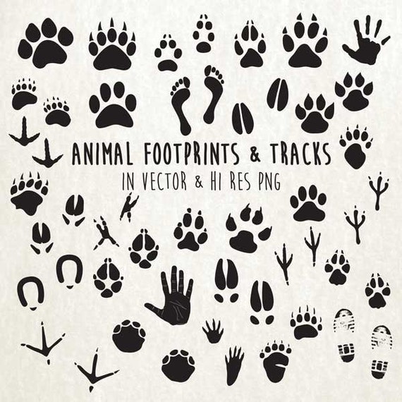 Download Animal Paw Print Clipart Animal Tracks Clipart Animal Tracks | Etsy