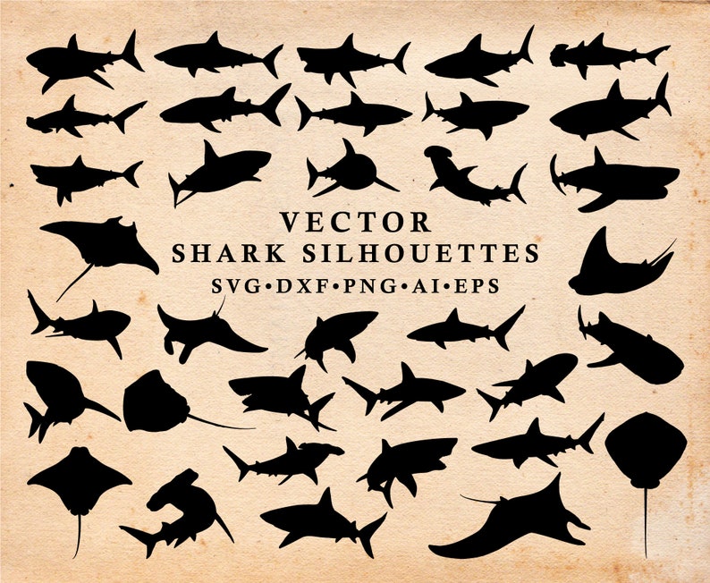 Free Free 75 Free Shark Svg Cut Files SVG PNG EPS DXF File