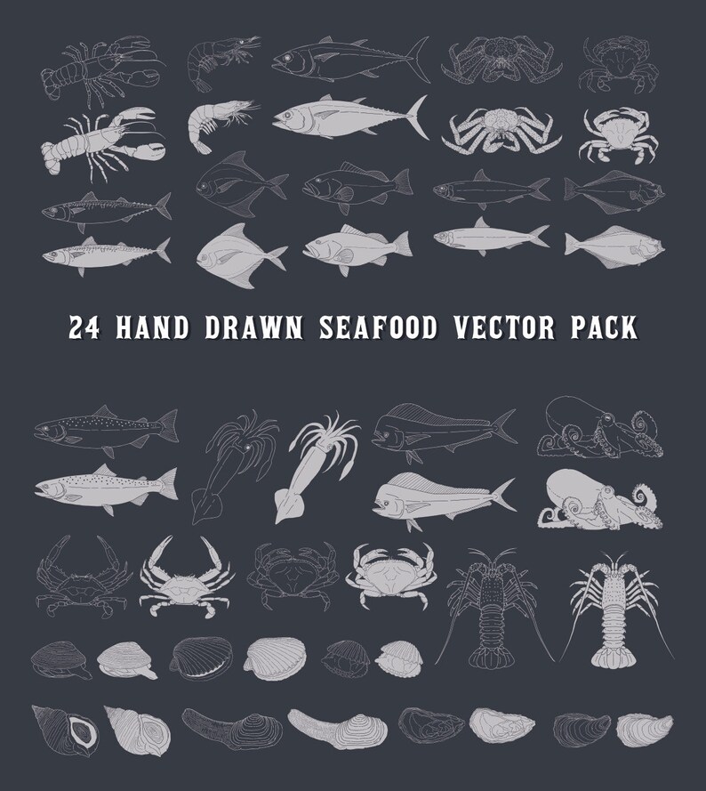 Download Art Collectibles Clip Art Ai Nautical Clip Art Vector Eps Fishing Clipart Fish Clipart Sea Marine Ocean Hand Drawn Seafood Png Digital Instant Download Svg
