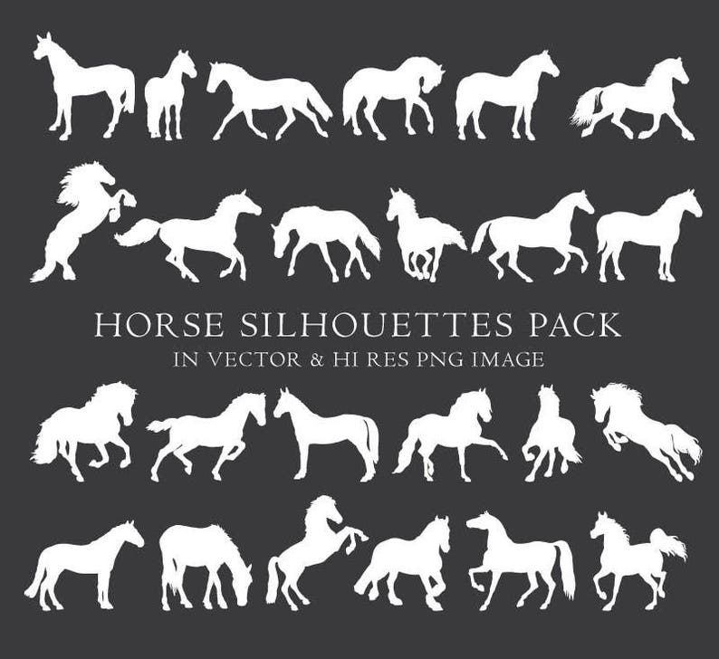 May include: A set of 20 white horse silhouettes in various poses, including running, standing, and rearing up. The silhouettes are isolated on a black background. "Horse Silhouettes Pack" and "In Vector & Hi Res PNG Image" are written in white text below the silhouettes.