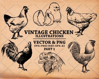 Chicken SVG, Vintage Chicken Drawing, Hand Drawn Chicken Illustration, Chickens Clipart Svg Dxf  Png Eps for transfer, print, cut files