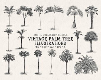 Vintage palmboomillustraties SVG – tropische botanische boomvormen clipartbundel png, dxf, eps