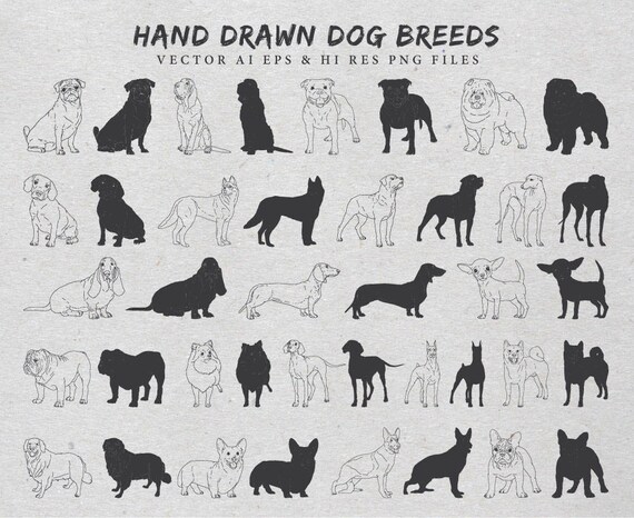 Download Hand Drawn Dog Breeds Dog Breeds Clipart Dog Drawing Dog Etsy
