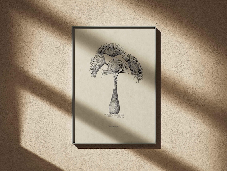 Vintage Palm Tree Illustrations SVG – Tropical Botanical Tree Shapes Clipart Bundle PNG, DXF, Eps image 4