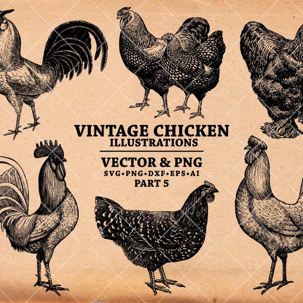 Poulet SVG, dessin de poulet vintage, Illustration de poulet dessiné à la main, poulets Clipart Svg Dxf Png Eps pour transfert, impression, fichiers coupés