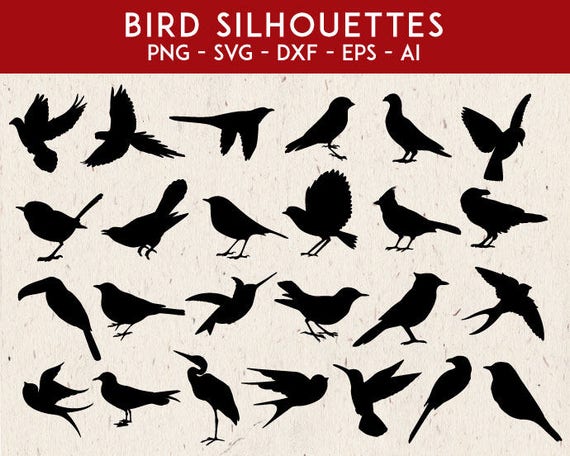 Download Birds Svg Bird Svg Birds Silhouette Svg Bird Silhouette Etsy