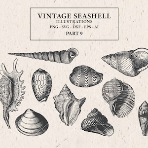 May include: A collection of ten black and white illustrations of seashells. The illustrations are in a vintage style and are perfect for use in crafting projects, scrapbooking, or digital design.