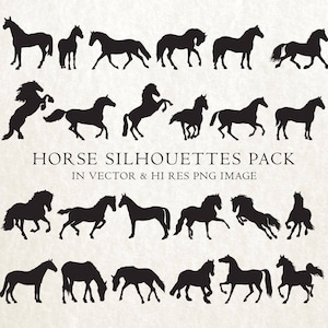 Pferd SVG, Pferd Silhouette SVG-Schnittdateien, Pferd Clipart, Pferd Silhouette Schnittdateien svg dxf eps png - Silhouette Cricut Transfer & Schneiden