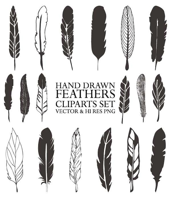 Feather Clipart Vector Rustic Drawing - Etsy