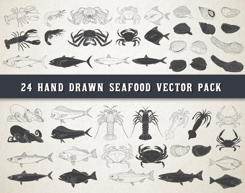 Download Art Collectibles Clip Art Ai Nautical Clip Art Vector Eps Fishing Clipart Fish Clipart Sea Marine Ocean Hand Drawn Seafood Png Digital Instant Download Svg