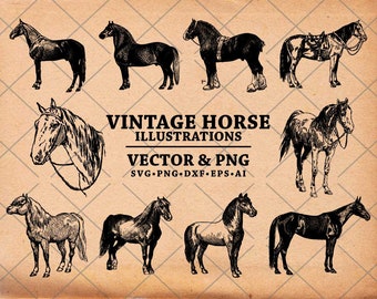 Horse SVG, Vintage Horse Drawing, Hand Drawn Horse Illustration, Horse Vector Clip Art, Horse Clipart Svg Dxf  Png Eps for transfer & print