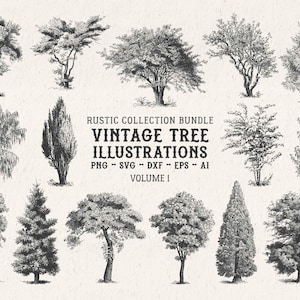 Vintage trädillustrationer SVG – Botaniska trädformer gravyr clipart-paket | PNG, DXF, Eps