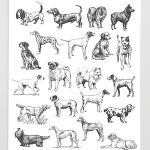 Hand Drawn Dog Clipart, Pet Dog Vintage Clipart Clip Art PNG & Vector EPS, AI Design Elements Digital Instant Download -pet petshop canine