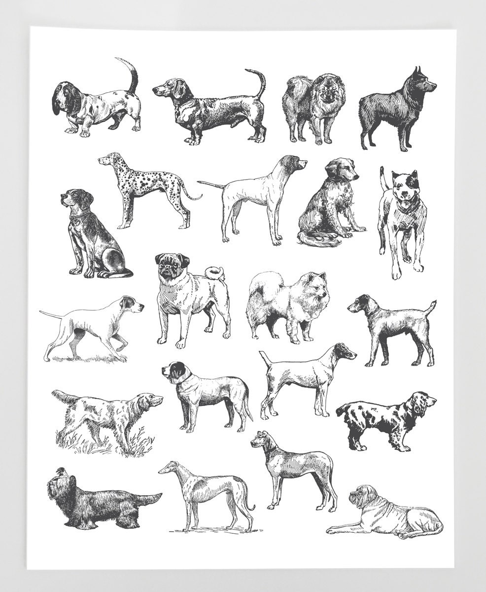 Victorian Dog Breeds
