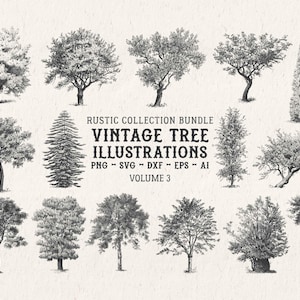 Tree Illustration SVG - Vintage Woodland Vector Clipart & Botanical Printable PNG Design Elements - Vol. 3 image 1