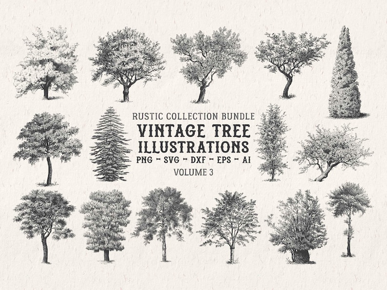 Tree Illustration SVG - Vintage Woodland Vector Clipart & Botanical Printable PNG Design Elements - Vol. 3 image 1