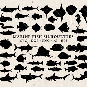 Marine SVG & Fisch SVG Silhouetten - Angeln SVG, Meerestiere svg Cut Files Clipart dxf eps png - Silhouette Cameo Cricut Transfer
