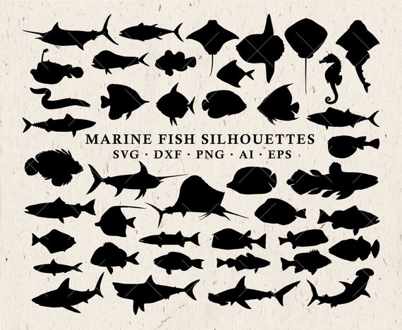 Download Marine Svg Fish Svg Silhouettes Fishing Svg Sea Animals Etsy