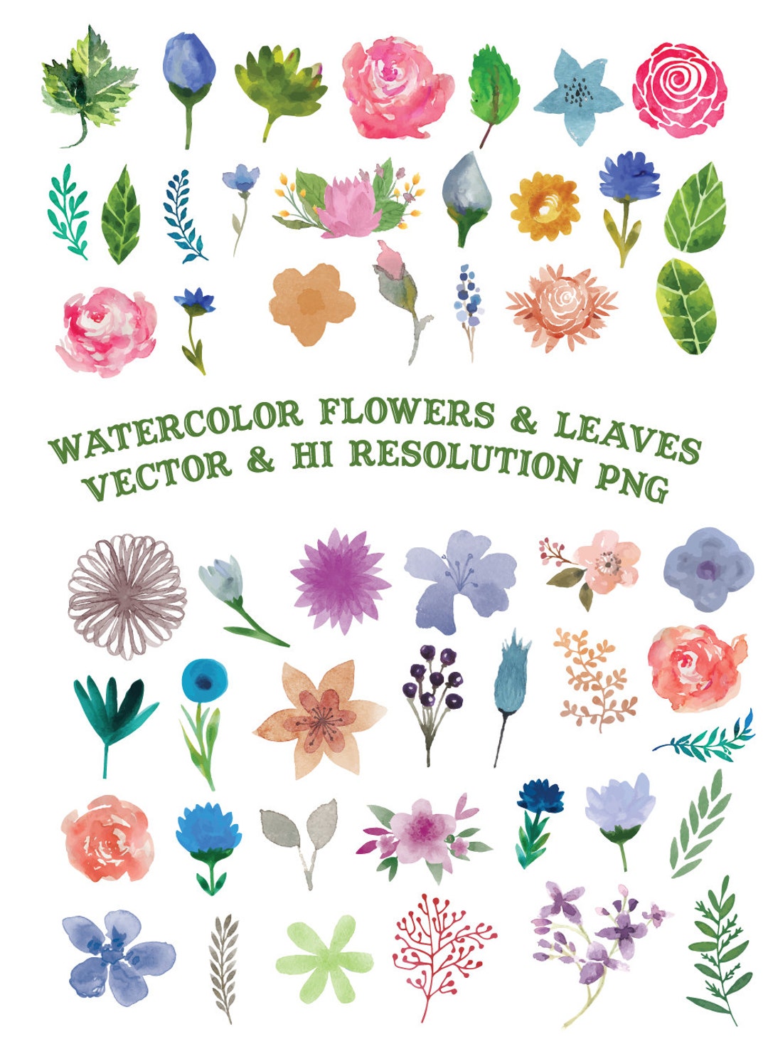 Watercolor Flower Clipart, Flower Watercolor Clipart, Watercolor Floral