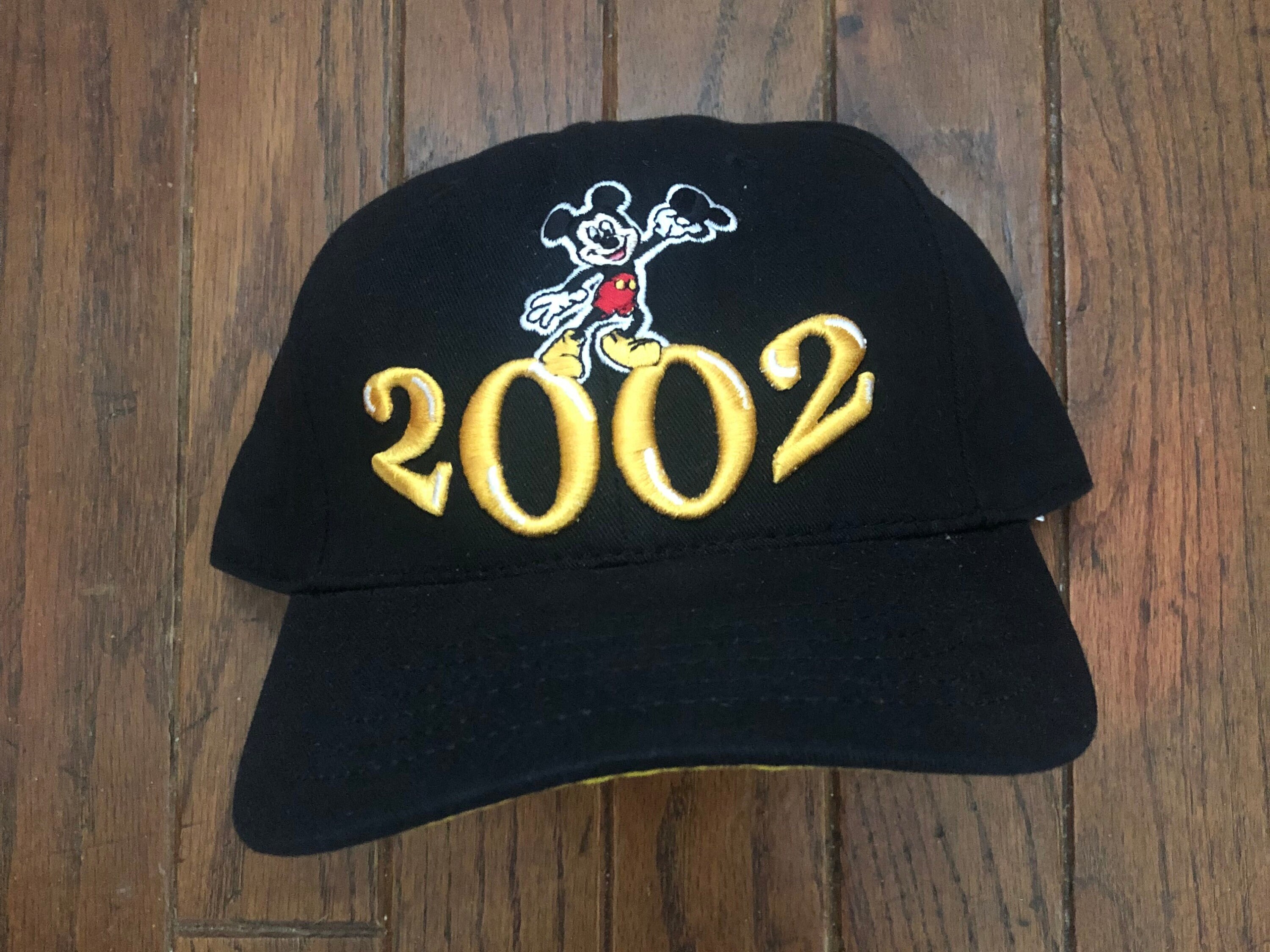 Vintage Disney 2002 Strapback Hat 