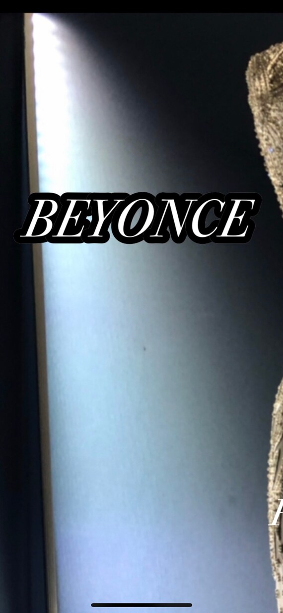 Beyonce bodice