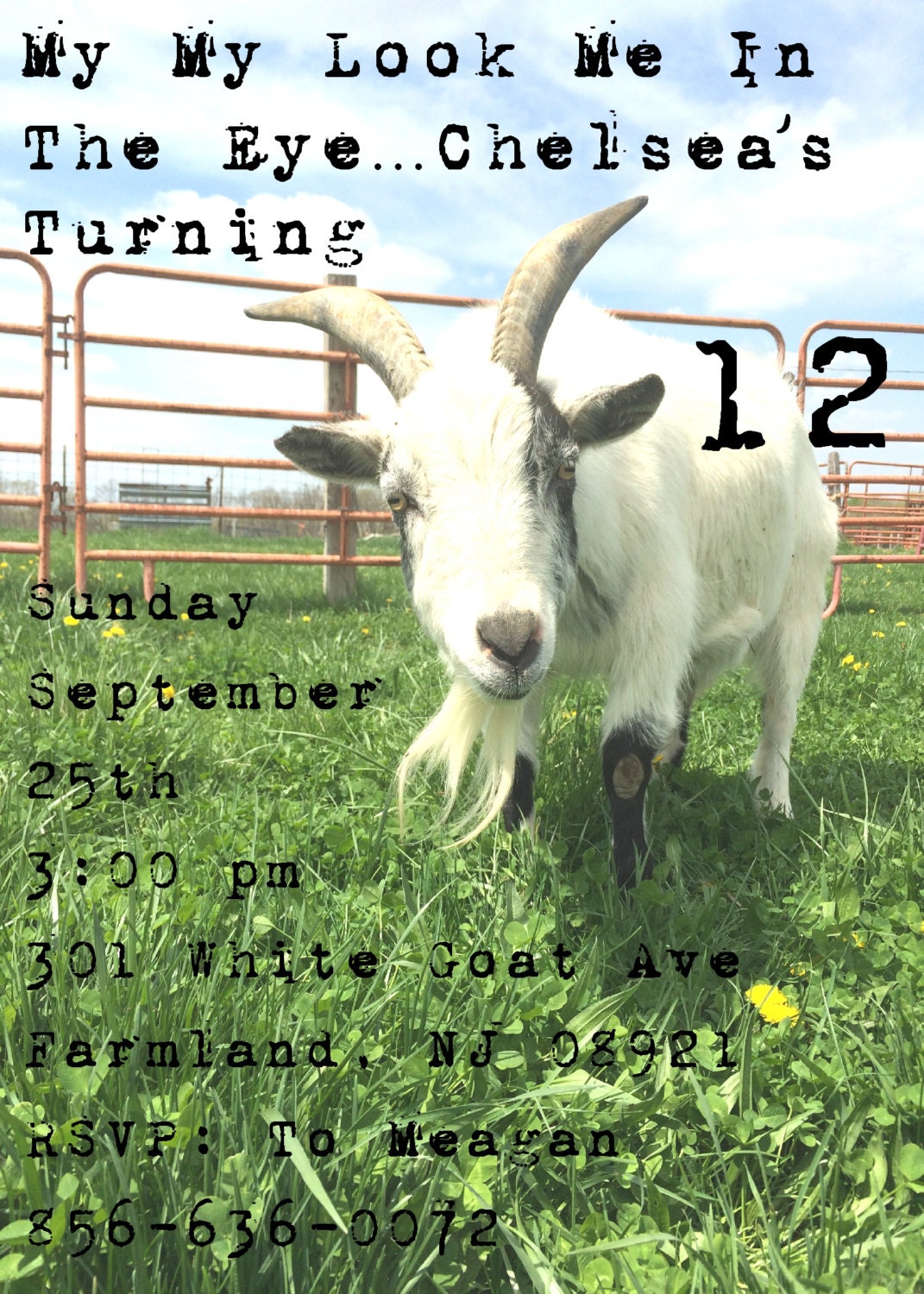 Invitations &amp; Announcements Barnyard Birthday Goat Birthday Goats Party ...