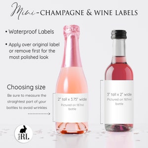 Printed Custom Stickers for Mini Wine or Mini Champagne Bottles 2 sizes New Year Holiday or Wedding Favors / Champagne Glasses / CH21 image 3