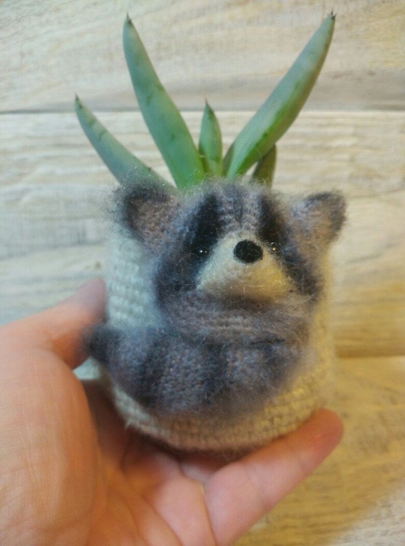 Raccoon planter Small succulent pot Cute desk decor Plant | Etsy
